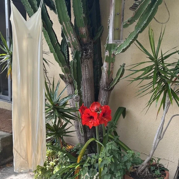 DANNIJO Ivory Satin Slip Dress - Spaghetti Strap Maxi - Picture 5 of 16